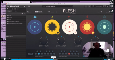 Sound Design: NI Flesh